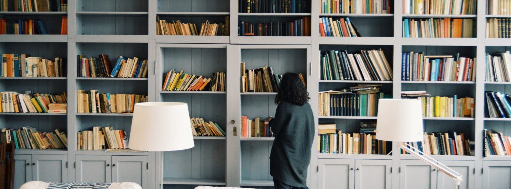 Header image -- bookshelves