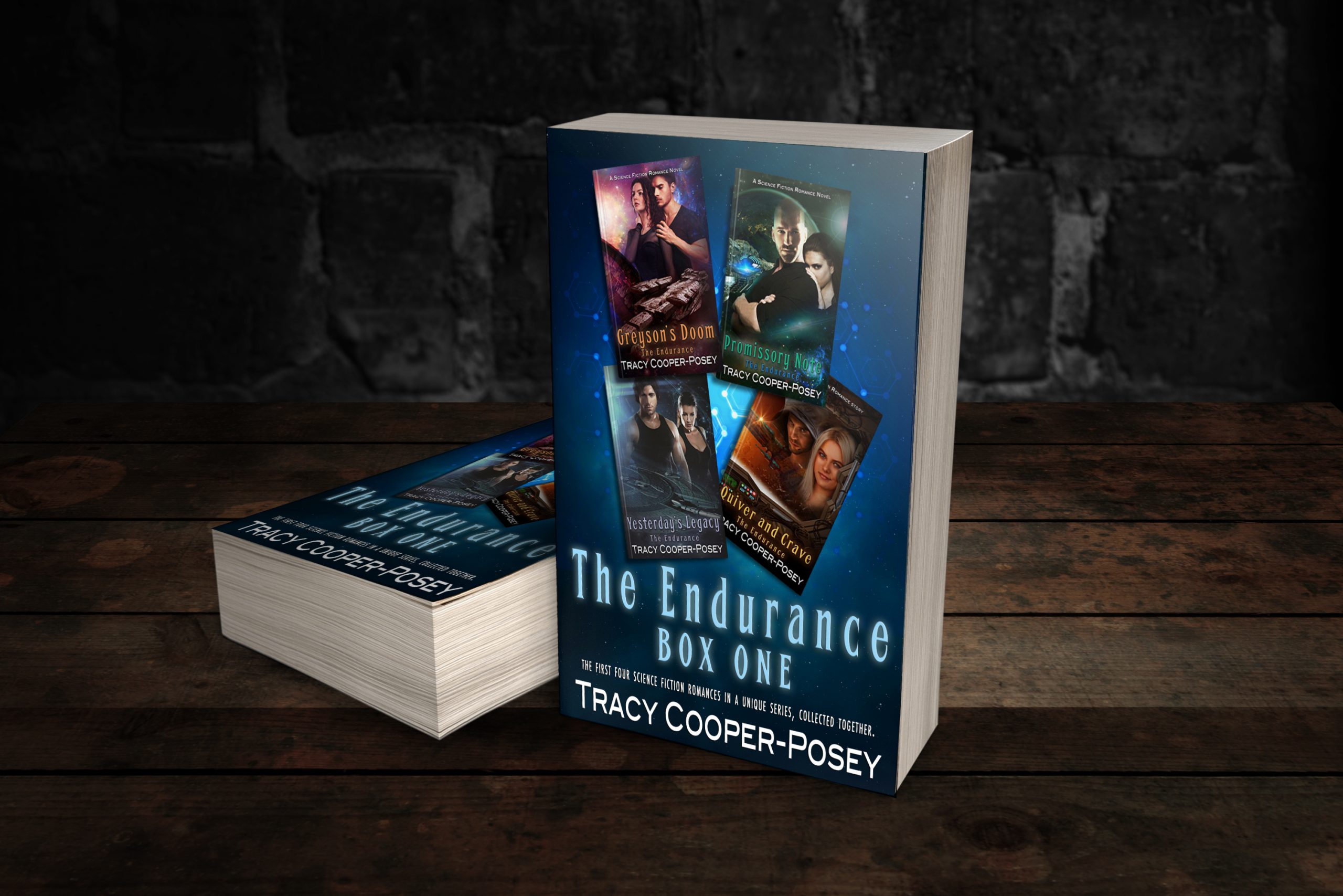 The Endurance Box One (The Endurance 3.5) – Stories Rule Press